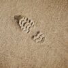 Footprint Nature